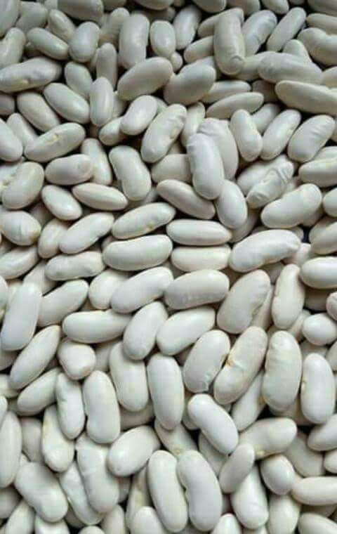 WhatsApp Image 2025-03-22 at 23.54.50_e95da0d6
