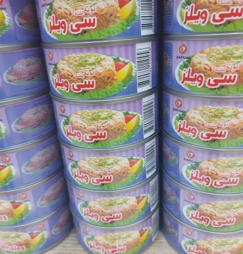 WhatsApp Image 2025-03-22 at 23.54.03_f0d860af